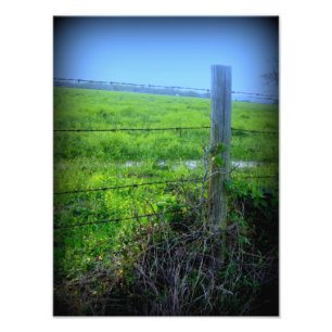 Impression Photo Barre de fil