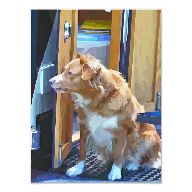 IMPRESSION PHOTO BATEAUX DE CANAL (Devant)