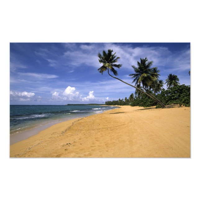 Impression Photo Beach Porto Rico (Devant)
