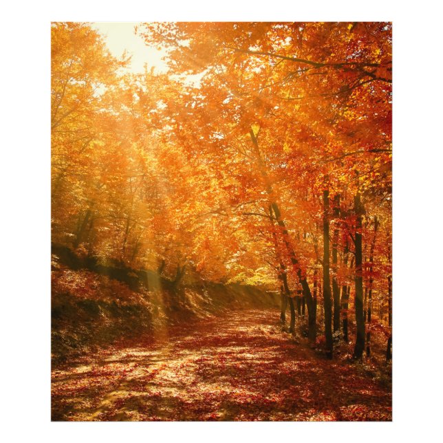 Impression Photo Beau automne (Devant)