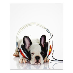 Impression Photo Beau Bulldog Dormir   Anglais Bulldog Lover