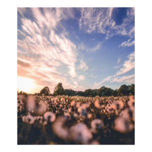 Impression Photo beau ciel sur la plaine