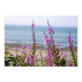 Impression Photo Beau Paysage de l'Alaska