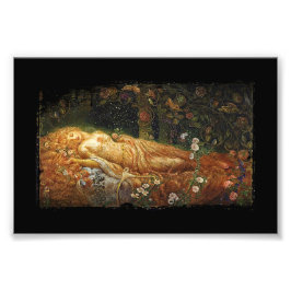 Impression Photo Beauté dormante et une harpe