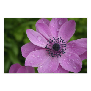 Impression Photo Beauté pourpre