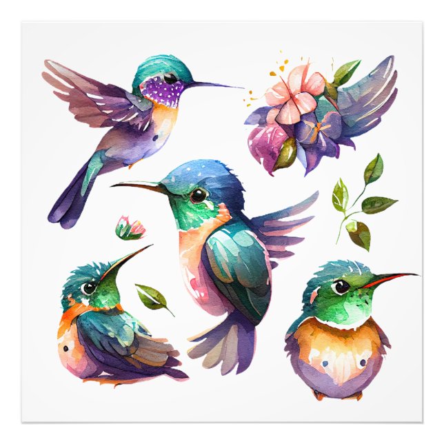 Impression Photo Beaux et mignons colibris pour les amateurs d'oise (Devant)