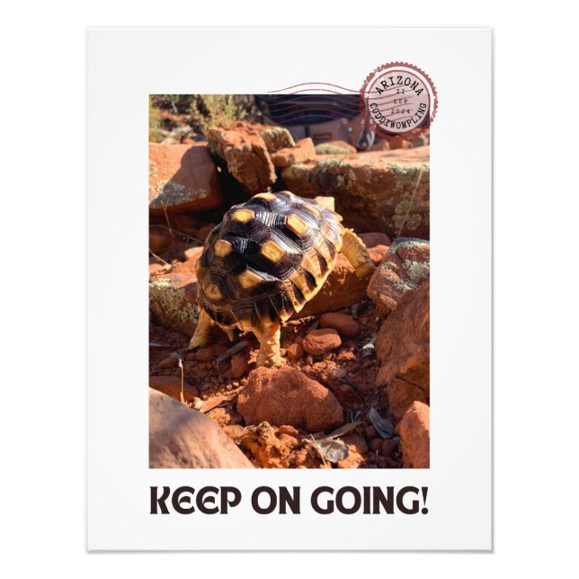 Impression Photo Bébé Sulcata randonnée à Sedona Red Rocks Arizona (Devant)