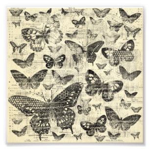 Impression Photo Beige noire, papillons, vintage, shabby chic, patt