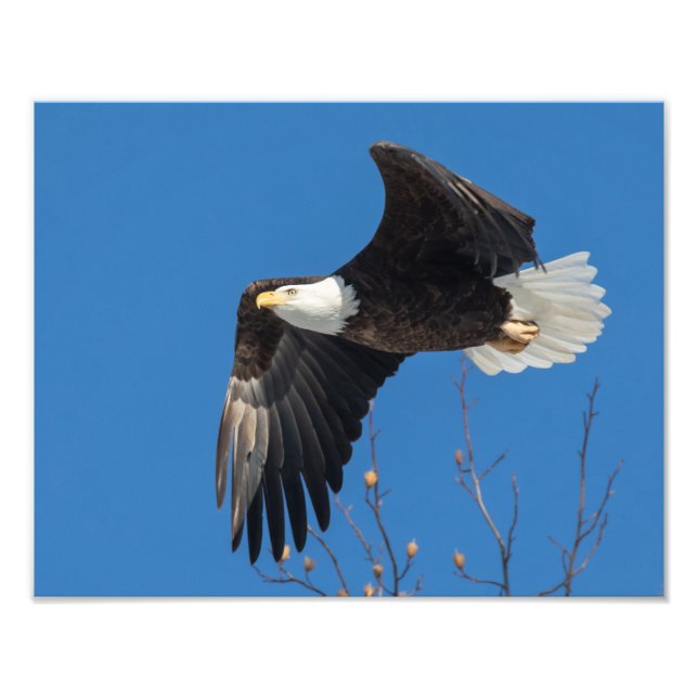 Impression Photo Belle Dame (Devant)