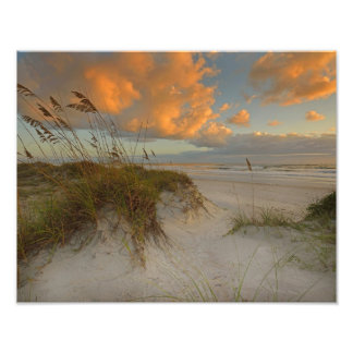 Impression Photo Belles dunes de sable à Daytona Beach, FL