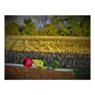 Impression Photo "Bénédiction de la récolte"
