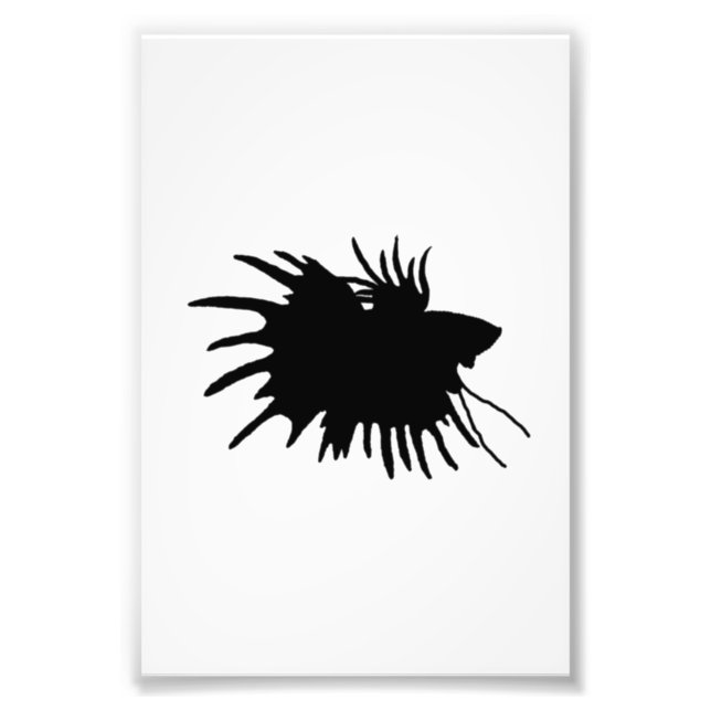 Impression Photo Betta Silhouette Love Siamese Poisson de combat (Devant)