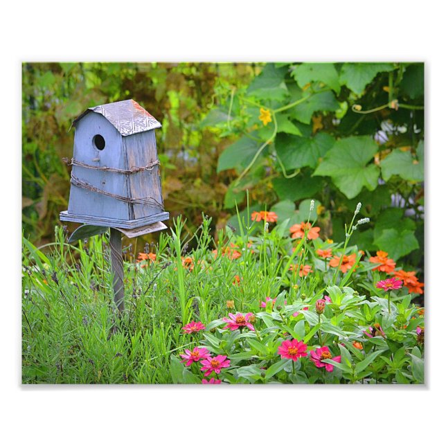 Impression photo Birdhouse (Devant)