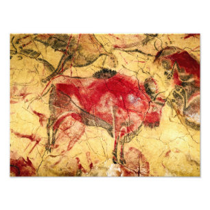 Impression Photo Bisons à Altamira (Espagne) Artiste inconnu