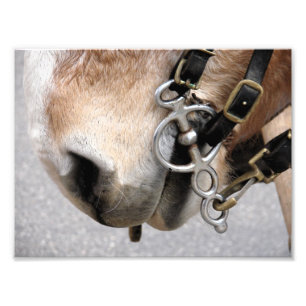 Impression Photo Bit de conduite