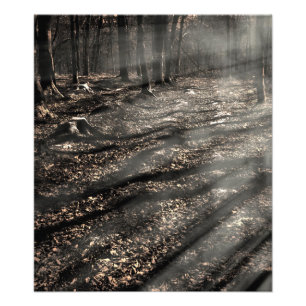 Impression Photo Blair Witch....là-bas !