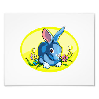 Impression Photo bleu assis fleurs de lapin jaune ovale.png