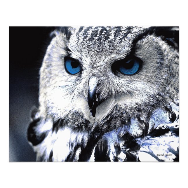 Impression Photo Bleu Oiseau d'art Imprimer (Devant)
