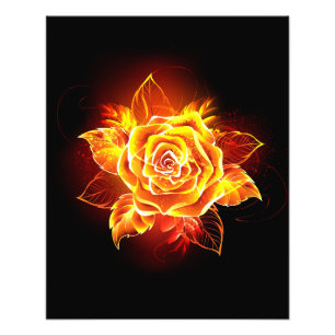 Impression Photo Blooming Fire Rose
