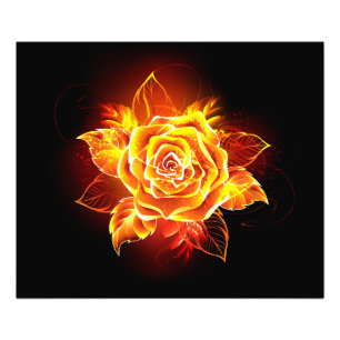 Impression Photo Blooming Fire Rose