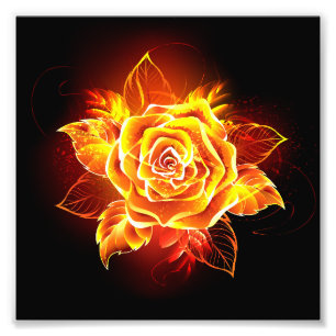Impression Photo Blooming Fire Rose