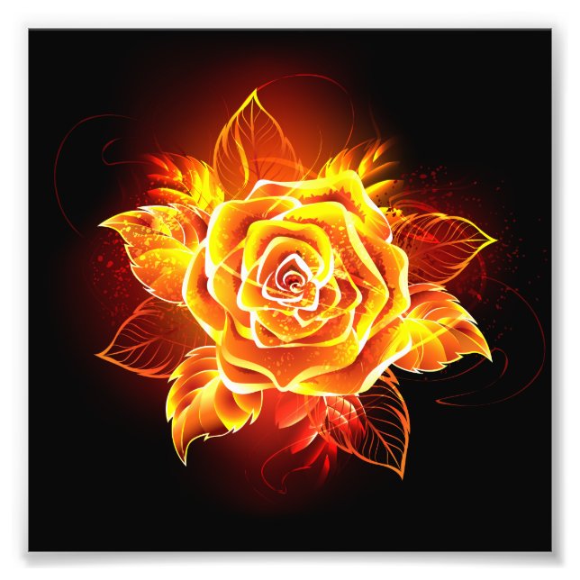 Impression Photo Blooming Fire Rose (Devant)