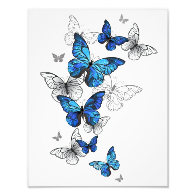 Impression Photo Blue Flying Butterflies Morpho (Devant)