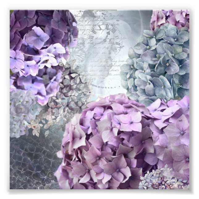 Impression Photo Blue Grey Vintage floral Hydrangea Flower motif (Devant)