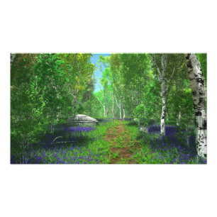 Impression photo Bluebell Light