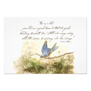 Impression Photo Bluebird sur Branche Victor Hugo Poème inspiratio