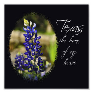 Impression Photo Bluebonnet le "Texas, la maison copie de mon