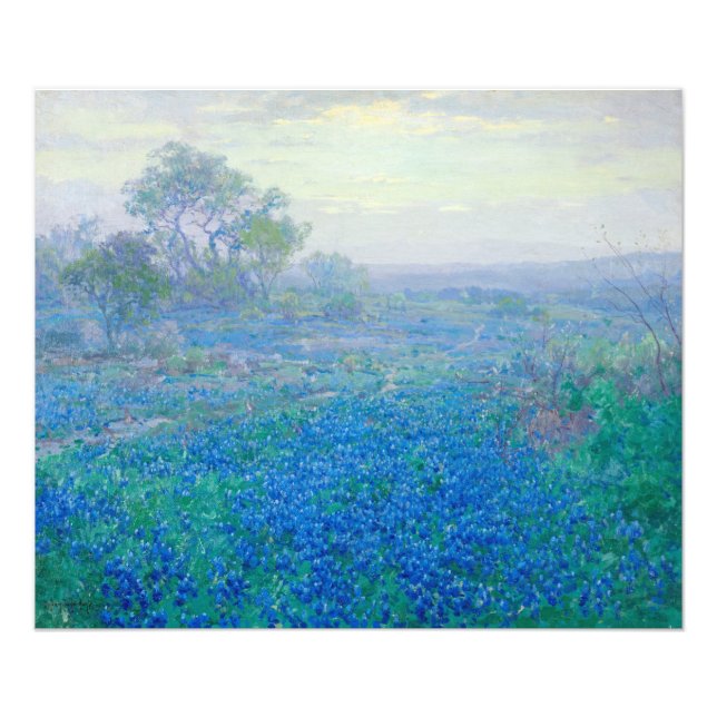 Impression Photo Bluebonnets près de San Antonio, Texas par Onderdo (Devant)