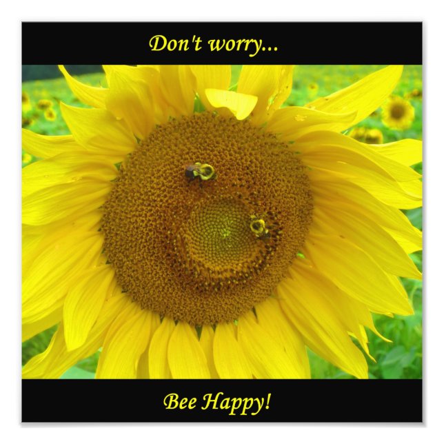 Impression Photo BO1050 12x12 (Devant)