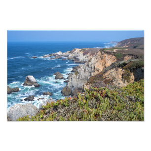 Impression Photo Bodega Head Côte accidentée et sentier