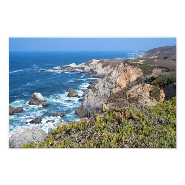Impression Photo Bodega Head Côte accidentée et sentier (Devant)