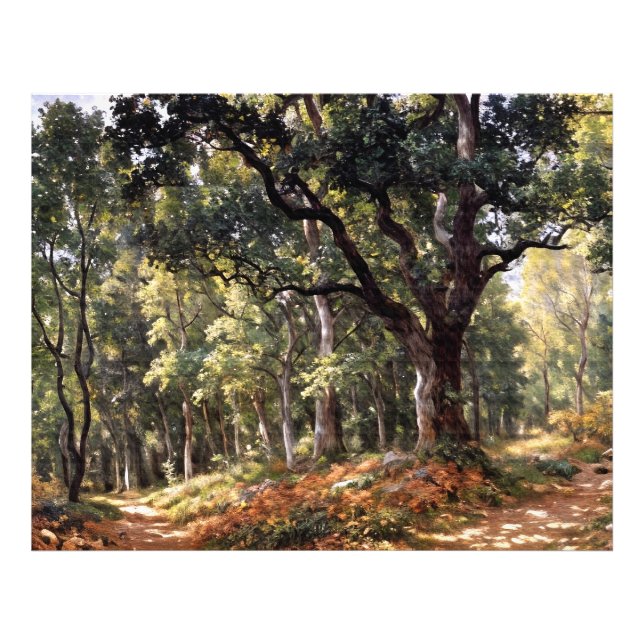 Impression Photo Bodmer Oak (Devant)