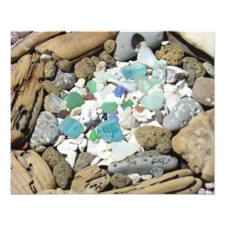Impression Photo Bois flotté de mer Verre de mer Coquillages Fossil