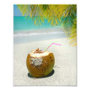 Impression Photo Boisson de coco sur la plage tropicale avec palmie
