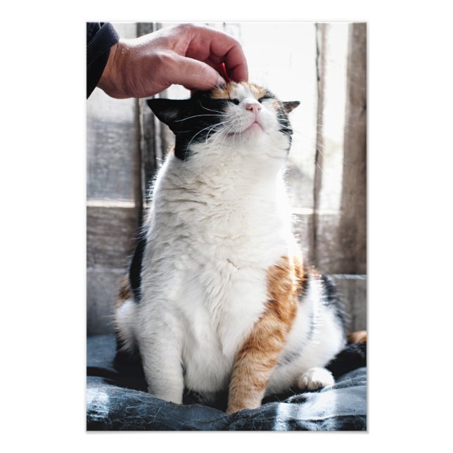Impression Photo Bouddles (Devant)