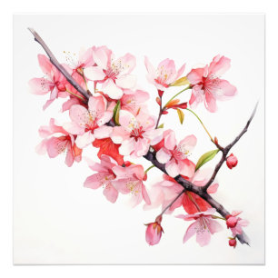 Impression Photo Branche de fleurs de cerisier