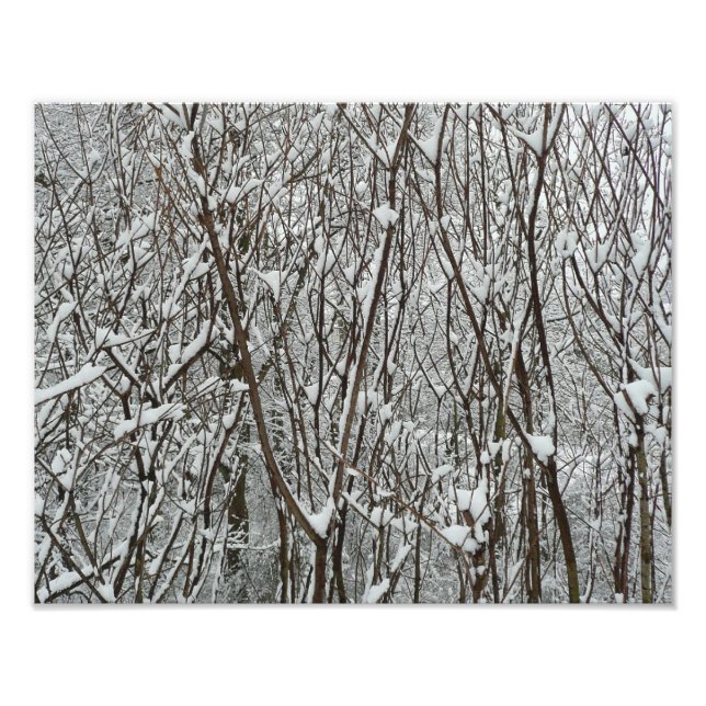 Impression Photo Branches couvertes de neige Abstraite hivernale (Devant)