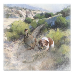 Impression Photo Bretagne Espagnol chasse perdrix chukar, Art