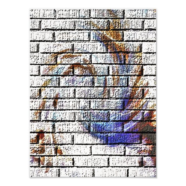 IMPRESSION PHOTO BRICK WALL GRAFFITI (Devant)