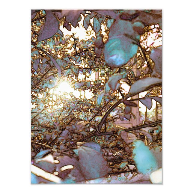 Impression Photo Brise de lumière (Devant)