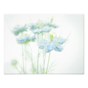 Impression Photo Brume bleue grande