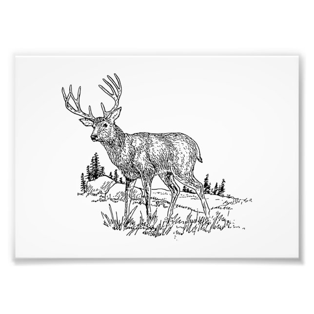 Impression Photo Buck Deer (Devant)