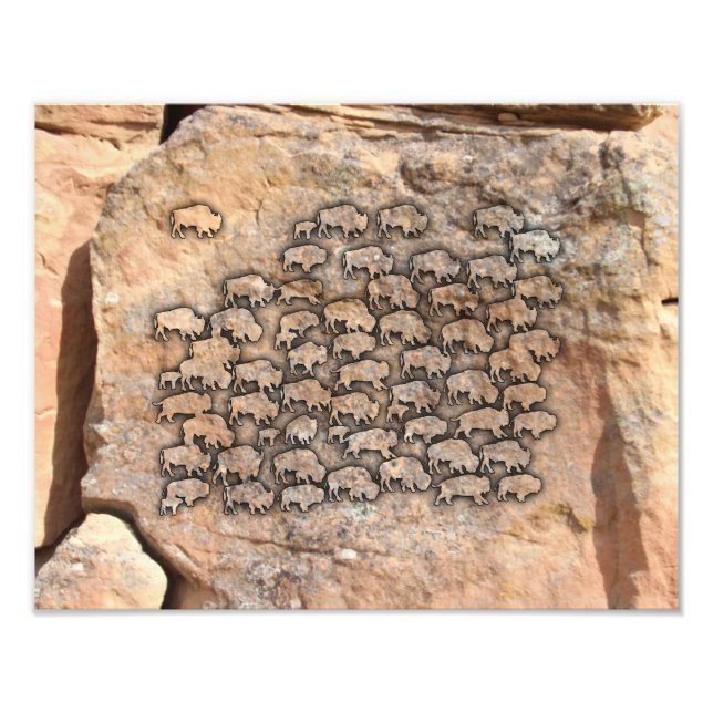 Impression Photo Buffalo (Devant)