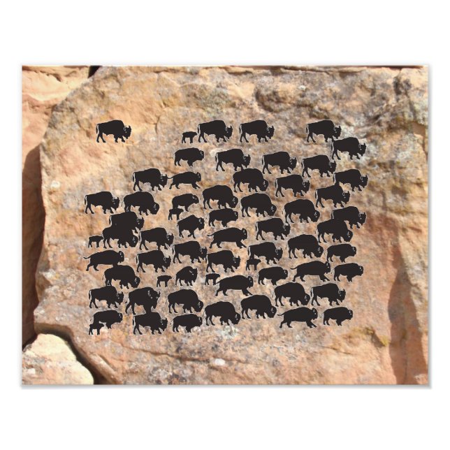 Impression Photo Buffalo (Devant)