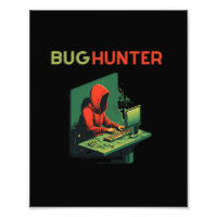 BUG HUNTER, Programmation, ingénieur logiciel