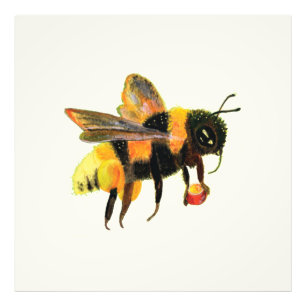 Impression Photo Bumble Bee transportant du pollen